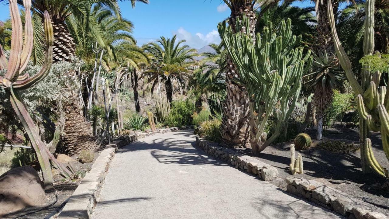 Villa De Cactualdea San Nicolás Zewnętrze zdjęcie